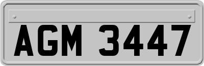AGM3447