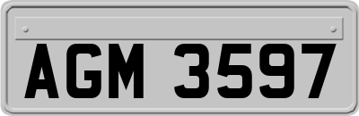 AGM3597