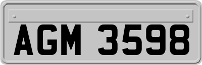AGM3598