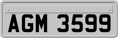 AGM3599
