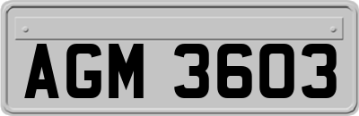 AGM3603