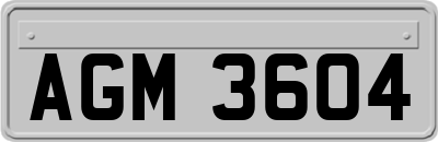AGM3604