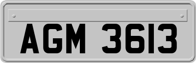 AGM3613