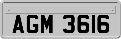 AGM3616