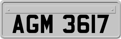 AGM3617