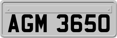 AGM3650
