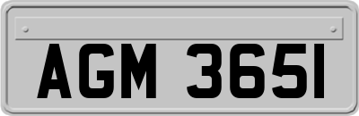 AGM3651