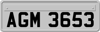 AGM3653