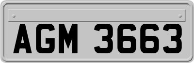 AGM3663