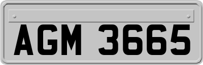 AGM3665