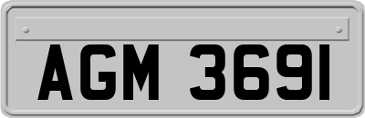 AGM3691