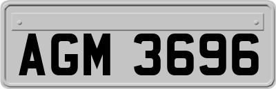 AGM3696