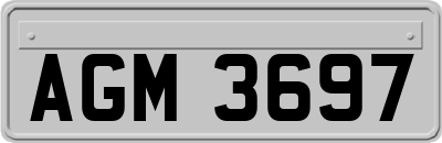 AGM3697