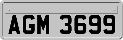 AGM3699