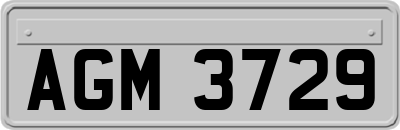 AGM3729