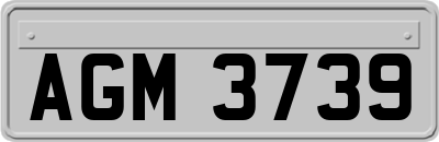 AGM3739