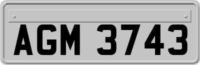 AGM3743