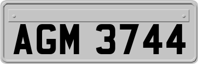AGM3744