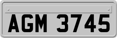 AGM3745