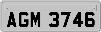 AGM3746