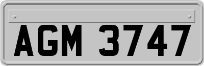 AGM3747