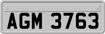 AGM3763