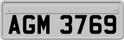 AGM3769