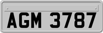 AGM3787