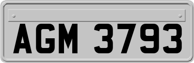 AGM3793