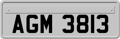 AGM3813