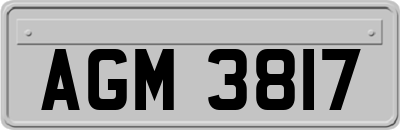 AGM3817