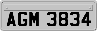 AGM3834