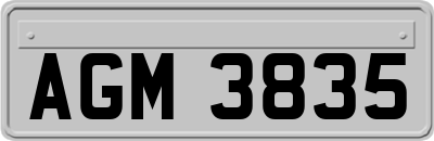 AGM3835