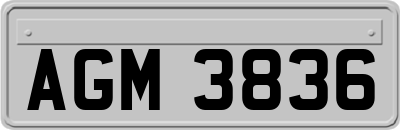 AGM3836