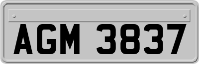 AGM3837