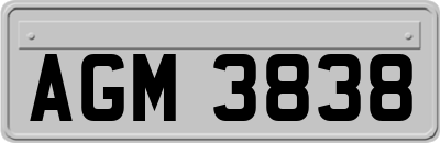 AGM3838