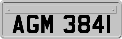 AGM3841