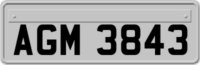 AGM3843