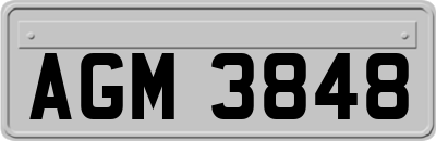 AGM3848