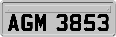 AGM3853