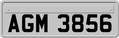 AGM3856