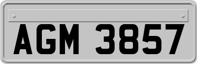 AGM3857