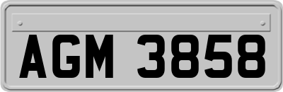 AGM3858