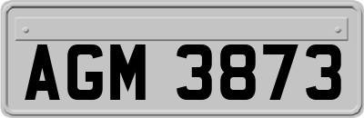 AGM3873