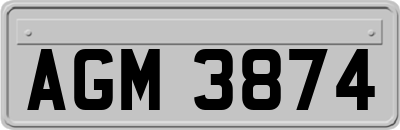 AGM3874