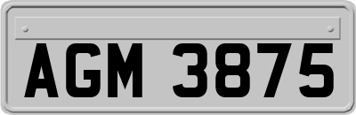 AGM3875