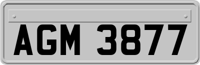 AGM3877