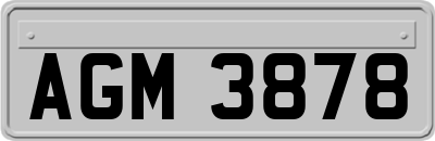 AGM3878