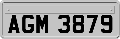 AGM3879