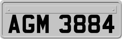 AGM3884